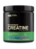 Optimum Nutrition Micronized Creatine Powder 247.5g