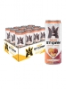 Reign Storm Clean Energy