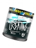 Sport Asylum Creatine Monohydrate 250g